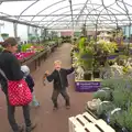 Fred goes nuts in the garden centre, Camping at Roundhills, Brockenhurst, New Forest, Hampshire - 29th August 2015