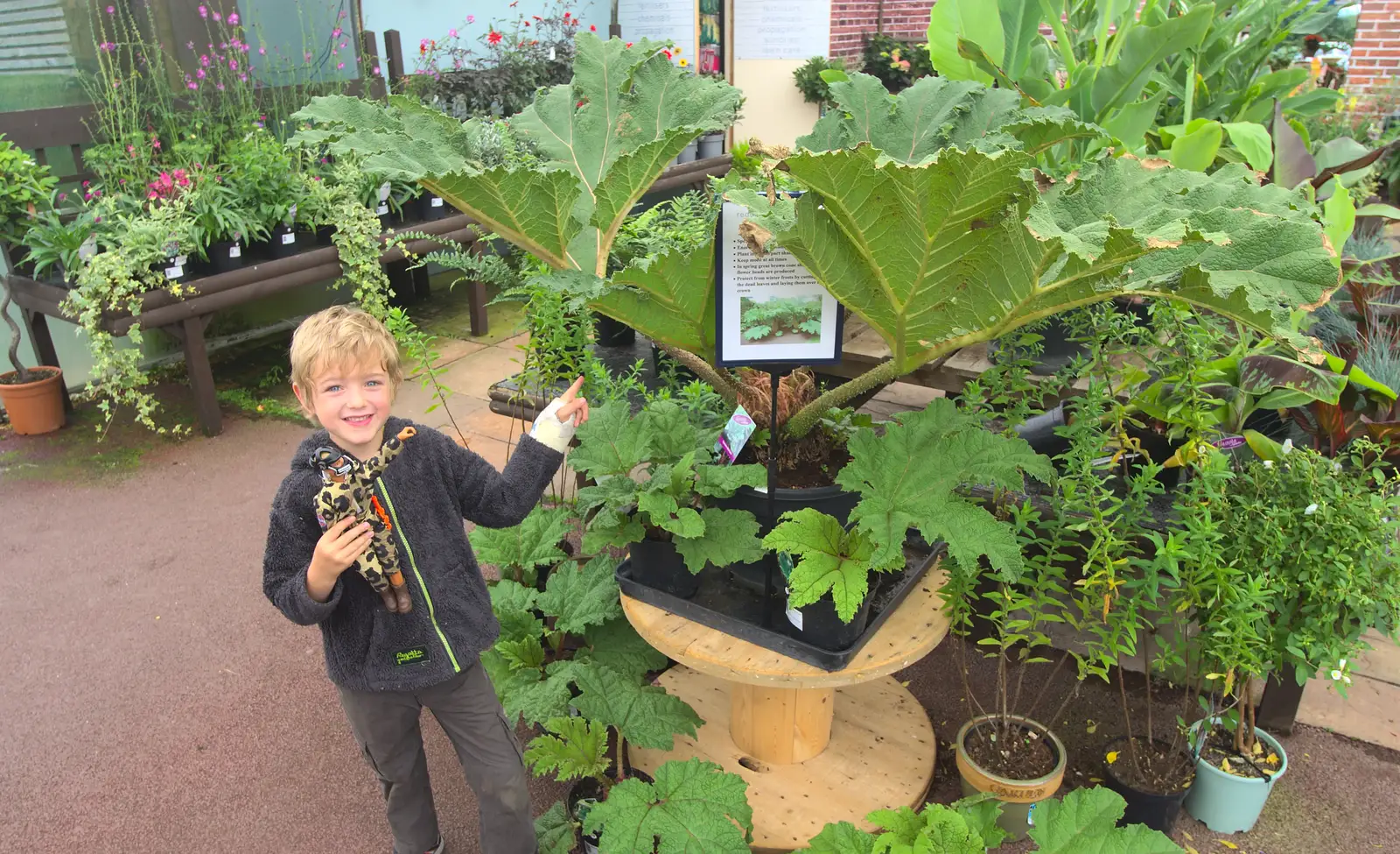 Fred next to a giant plant, from Camping at Roundhills, Brockenhurst, New Forest, Hampshire - 29th August 2015