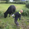 Fred checks to see if this cow has udders or not, Camping at Roundhills, Brockenhurst, New Forest, Hampshire - 29th August 2015