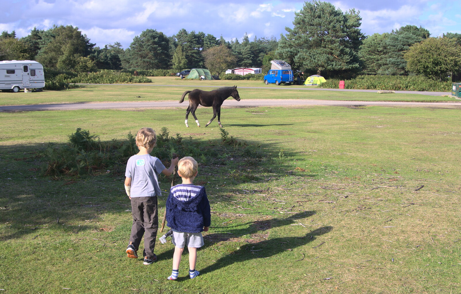 A foal trots past from Camping at Roundhills, Brockenhurst, New Forest, Hampshire - 29th August 2015