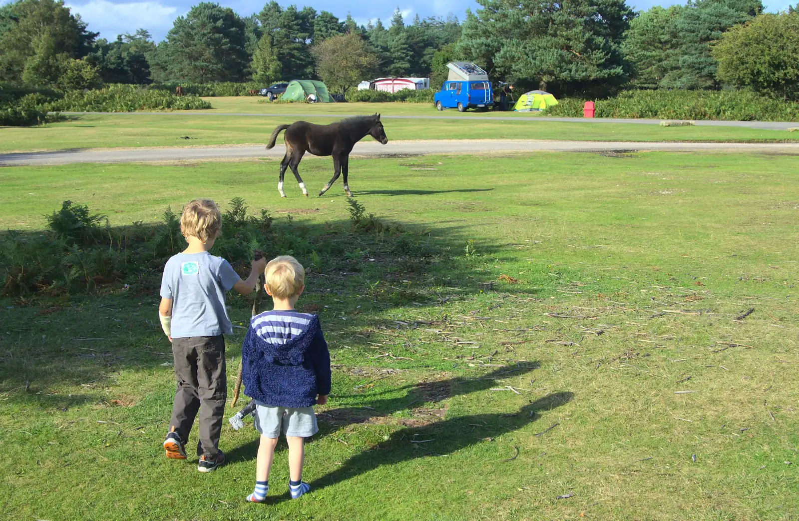 A foal trots past, from Camping at Roundhills, Brockenhurst, New Forest, Hampshire - 29th August 2015