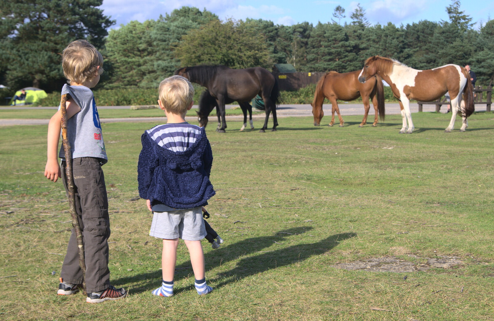 The boys look at the ponies from Camping at Roundhills, Brockenhurst, New Forest, Hampshire - 29th August 2015