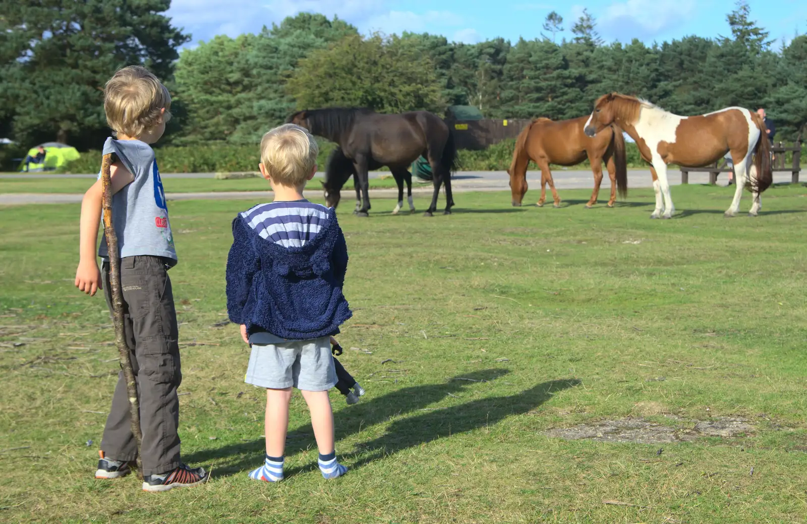 The boys look at the ponies, from Camping at Roundhills, Brockenhurst, New Forest, Hampshire - 29th August 2015