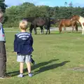 The boys look at the ponies, Camping at Roundhills, Brockenhurst, New Forest, Hampshire - 29th August 2015