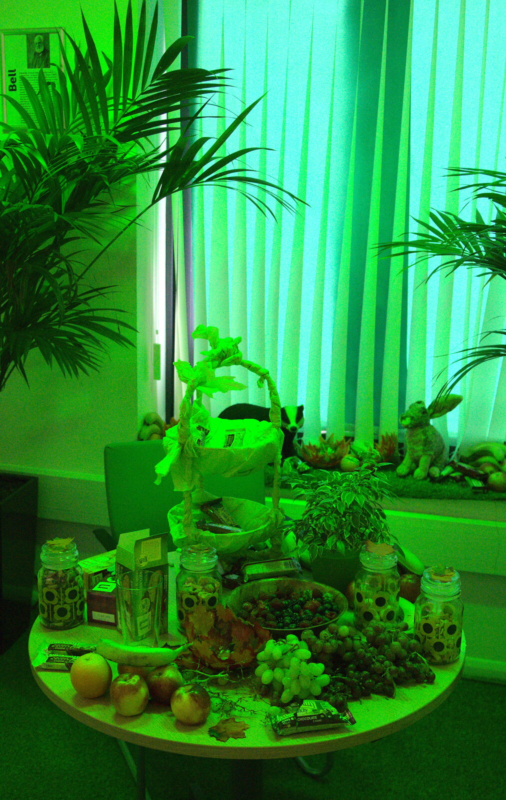 There's a very green 'jungle' room from SwiftKey Innovation Week, Southwark Bridge Road, London - 7th October 2015