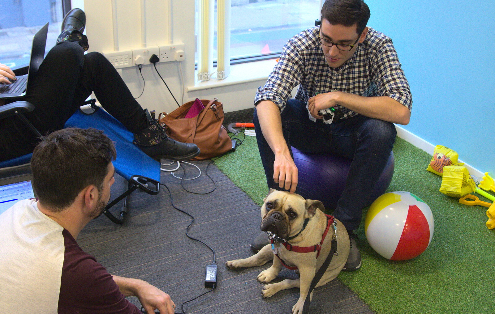 A dog in the office from SwiftKey Innovation Week, Southwark Bridge Road, London - 7th October 2015