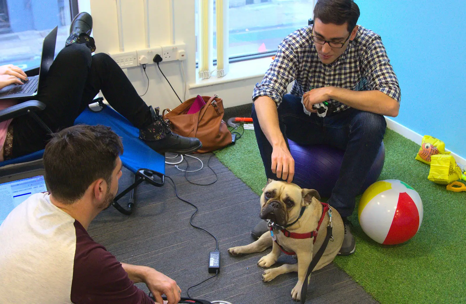 A dog in the office, from SwiftKey Innovation Week, Southwark Bridge Road, London - 7th October 2015