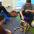 A dog in the office, SwiftKey Innovation Week, Southwark Bridge Road, London - 7th October 2015