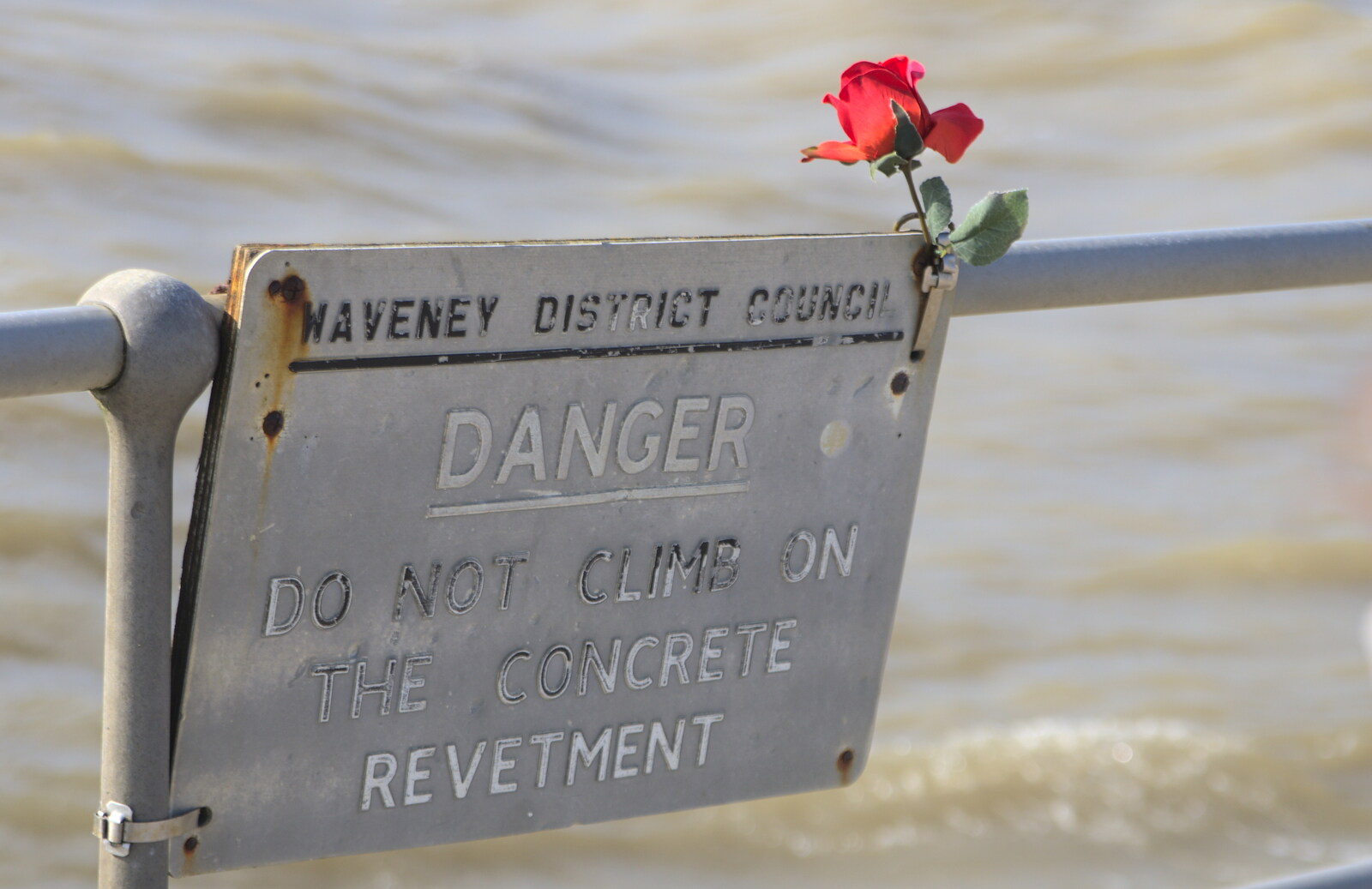 A red rose stuck to a danger sign from A DC3 Quiz and the Alfred Corry, Southwold, Suffolk, - 9th October 2015