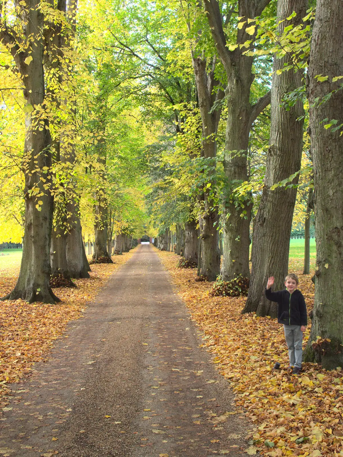 Fred stands by a tree and waves, from Apple Picking and The BBs at Framingham Earl, Norfolk - 25th October 2015