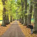 Fred stands by a tree and waves, Apple Picking and The BBs at Framingham Earl, Norfolk - 25th October 2015