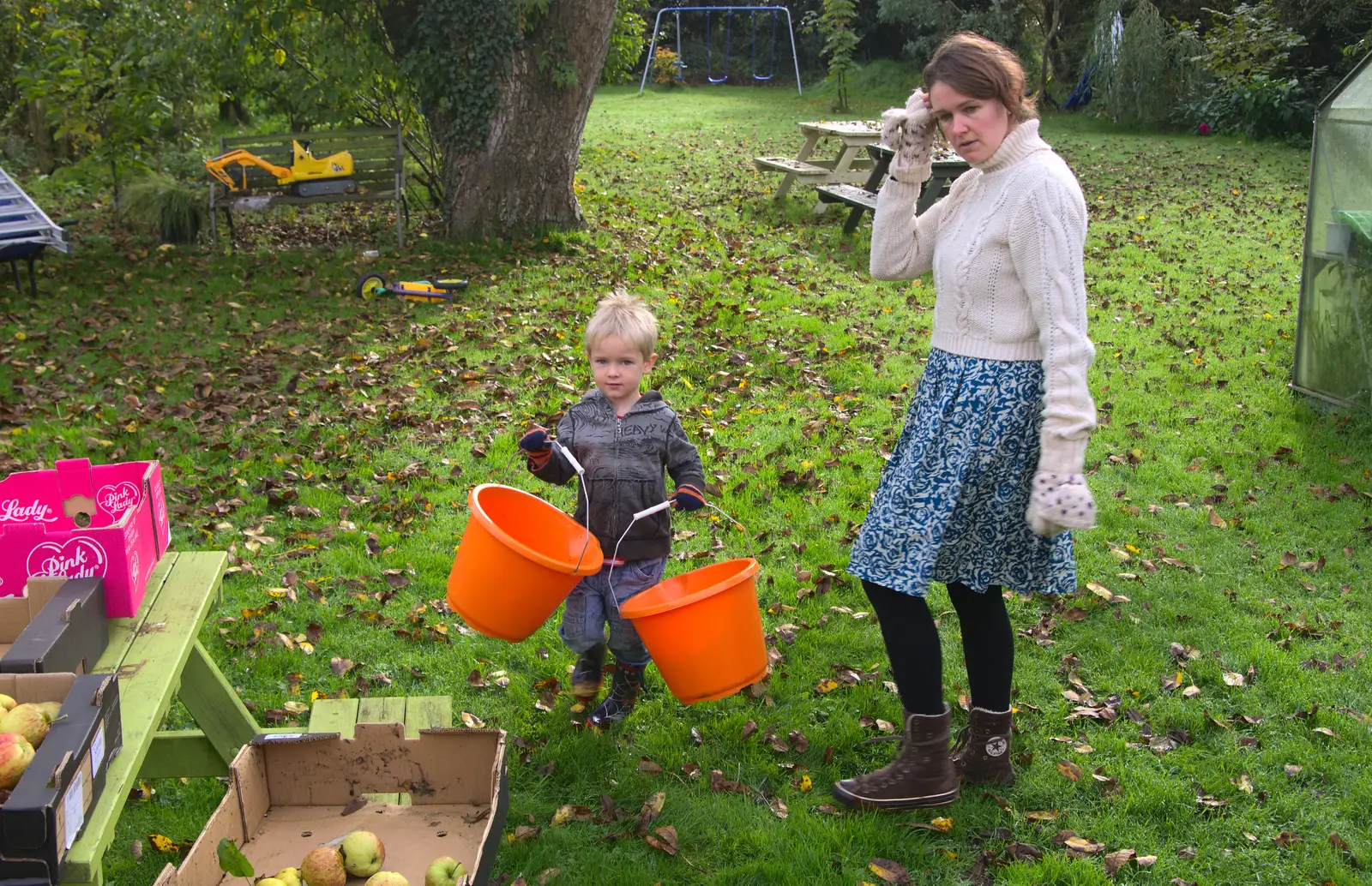 Harry helps with the apple harvest, from Apple Picking and The BBs at Framingham Earl, Norfolk - 25th October 2015