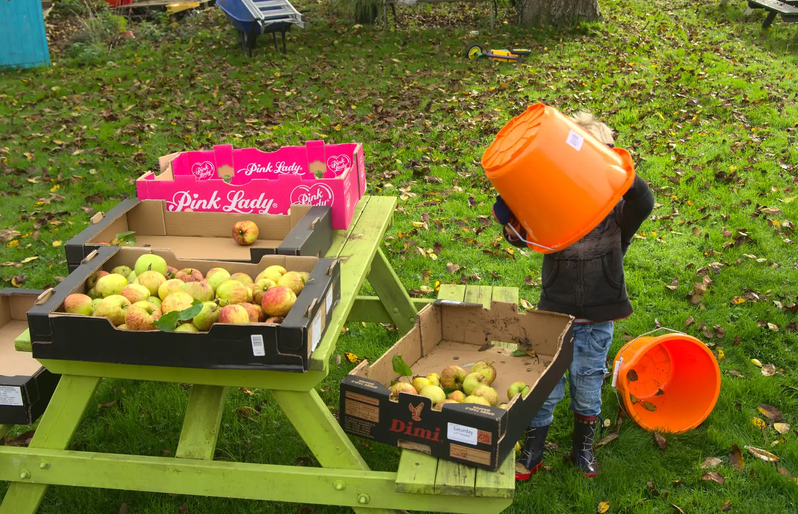 Harry waves a bucket around, from Apple Picking and The BBs at Framingham Earl, Norfolk - 25th October 2015