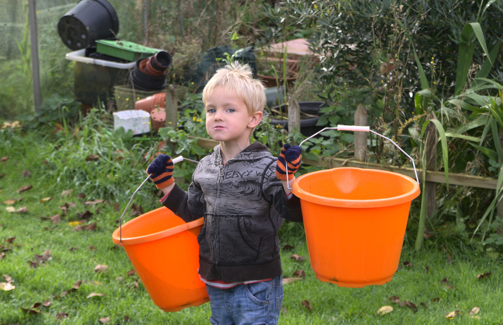 Harry's got a couple of buckets from Apple Picking and The BBs at Framingham Earl, Norfolk - 25th October 2015