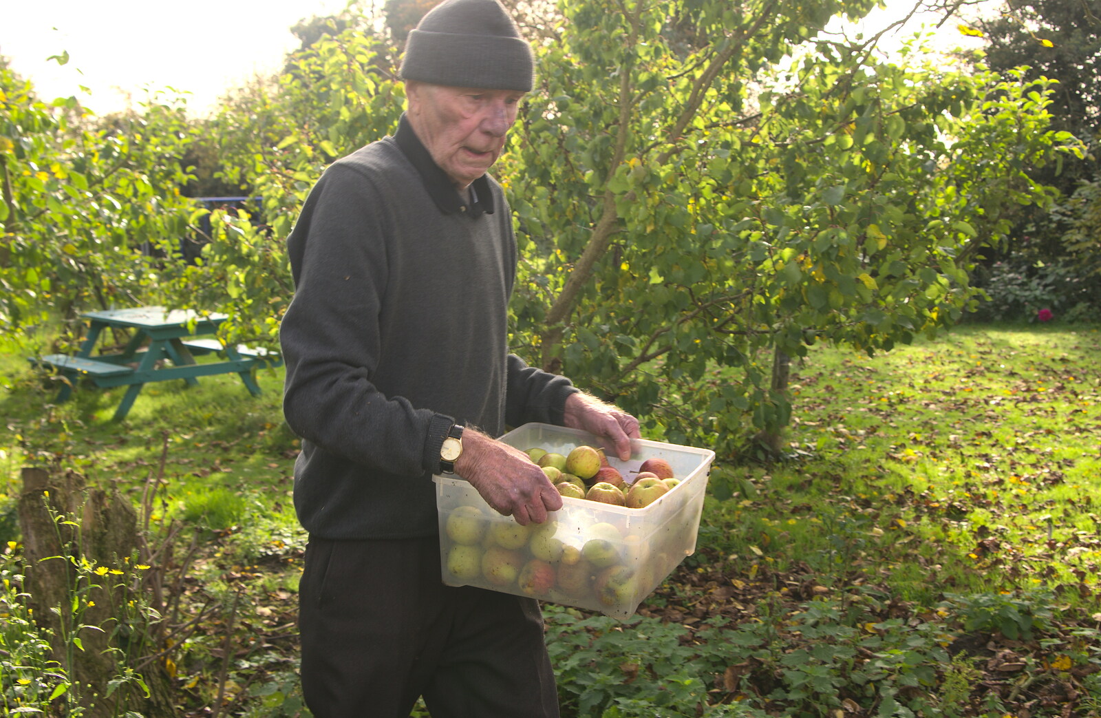 Grandad helps out too from Apple Picking and The BBs at Framingham Earl, Norfolk - 25th October 2015