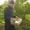 Grandad helps out too, Apple Picking and The BBs at Framingham Earl, Norfolk - 25th October 2015