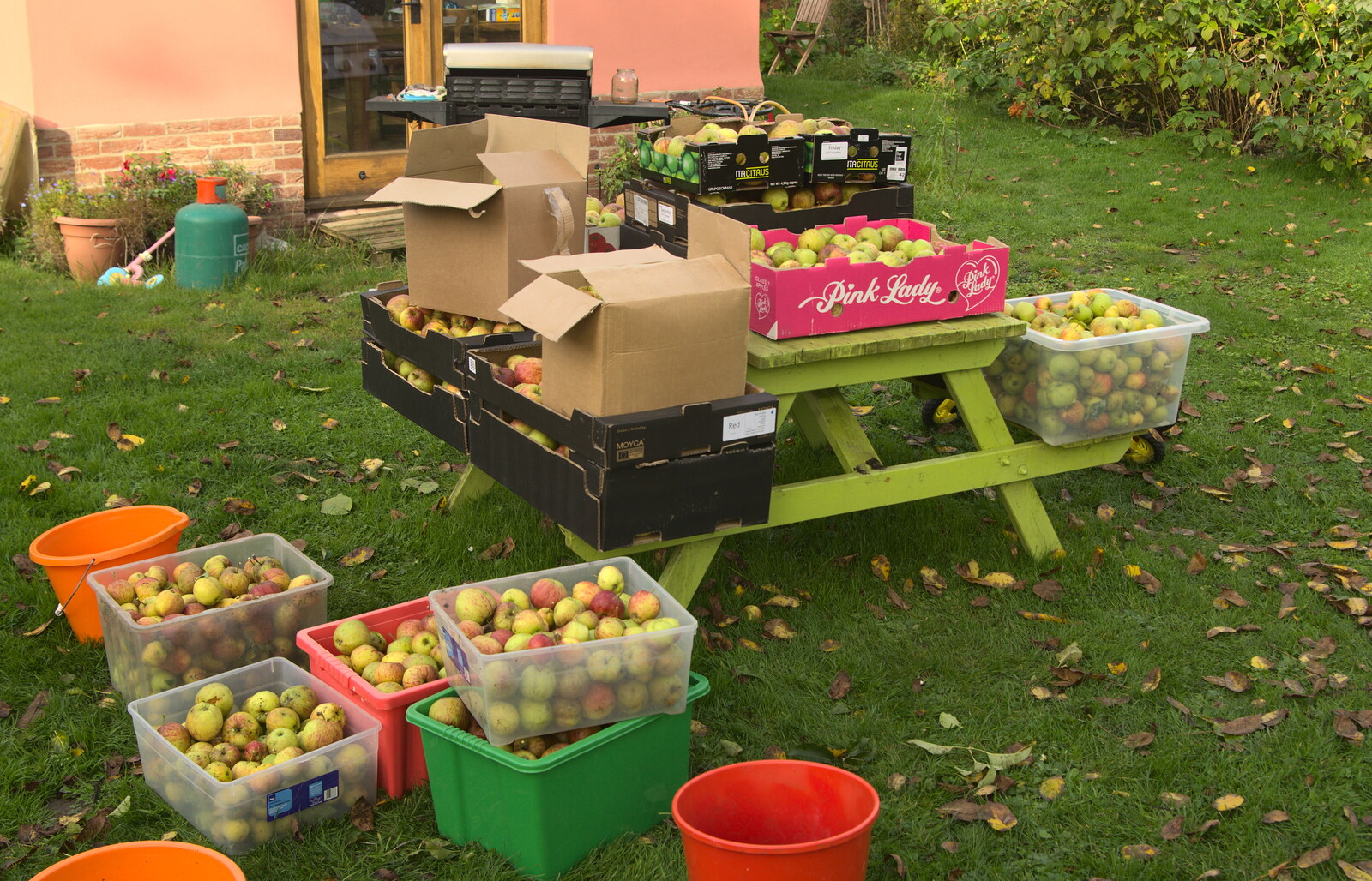 This year's crop - some 230 kilogrammes from Apple Picking and The BBs at Framingham Earl, Norfolk - 25th October 2015