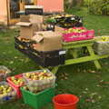 This year's crop - some 230 kilogrammes, Apple Picking and The BBs at Framingham Earl, Norfolk - 25th October 2015