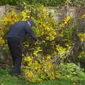 Grandad does some pruning, Apple Picking and The BBs at Framingham Earl, Norfolk - 25th October 2015