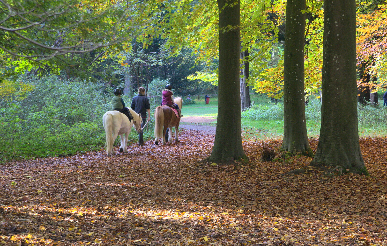 Pony-riding in the forest from A Day at High Lodge, Brandon Forest, Suffolk - 26th October 2015