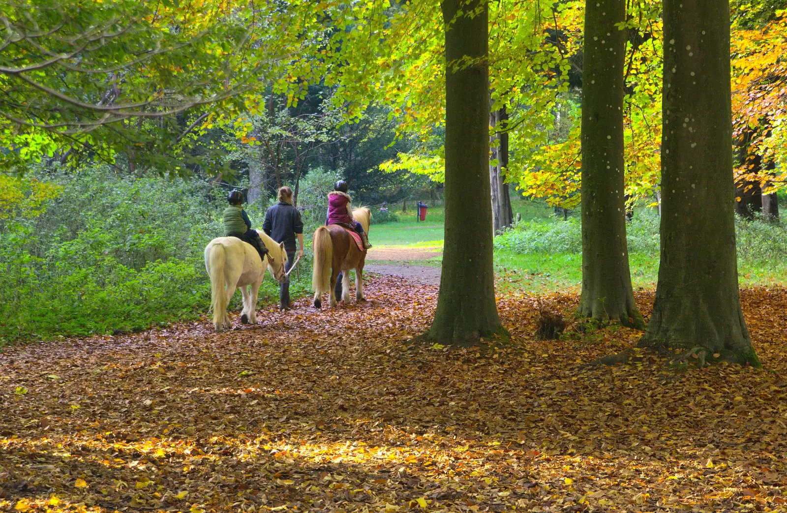 Pony-riding in the forest, from A Day at High Lodge, Brandon Forest, Suffolk - 26th October 2015