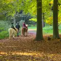 Pony-riding in the forest, A Day at High Lodge, Brandon Forest, Suffolk - 26th October 2015