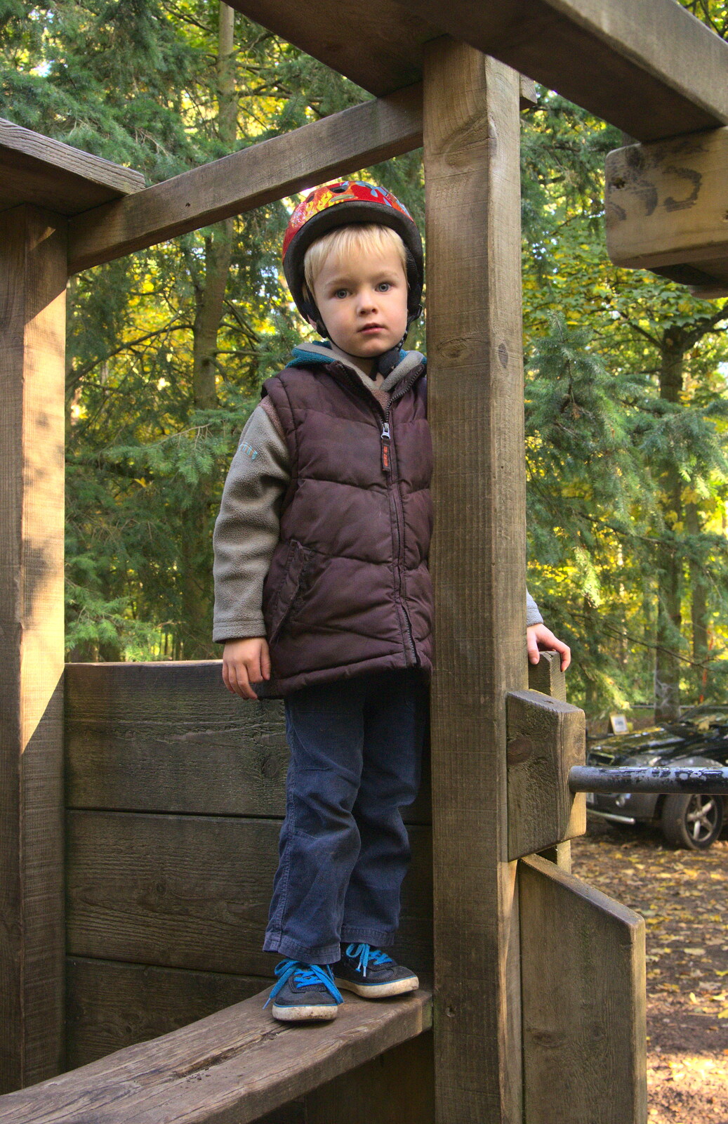 Harry looks sad from A Day at High Lodge, Brandon Forest, Suffolk - 26th October 2015