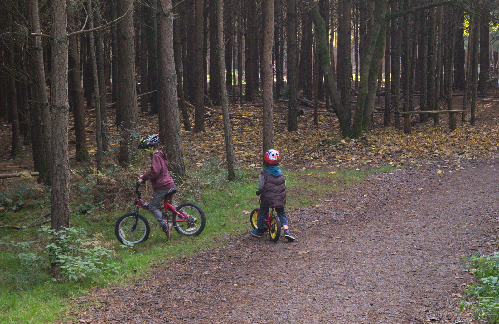 Fred and Harry head off in to the woods from A Day at High Lodge, Brandon Forest, Suffolk - 26th October 2015