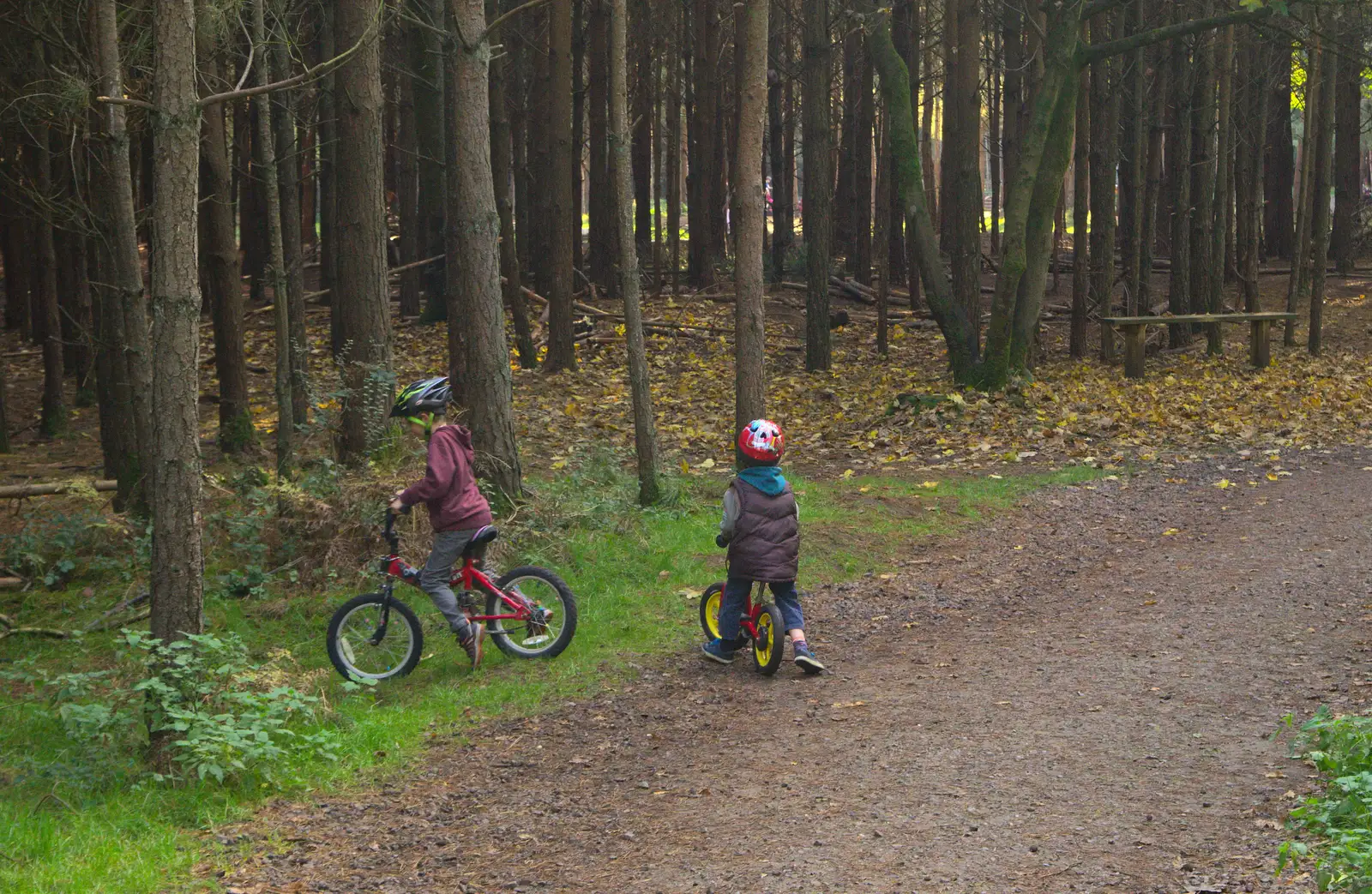 Fred and Harry head off in to the woods, from A Day at High Lodge, Brandon Forest, Suffolk - 26th October 2015