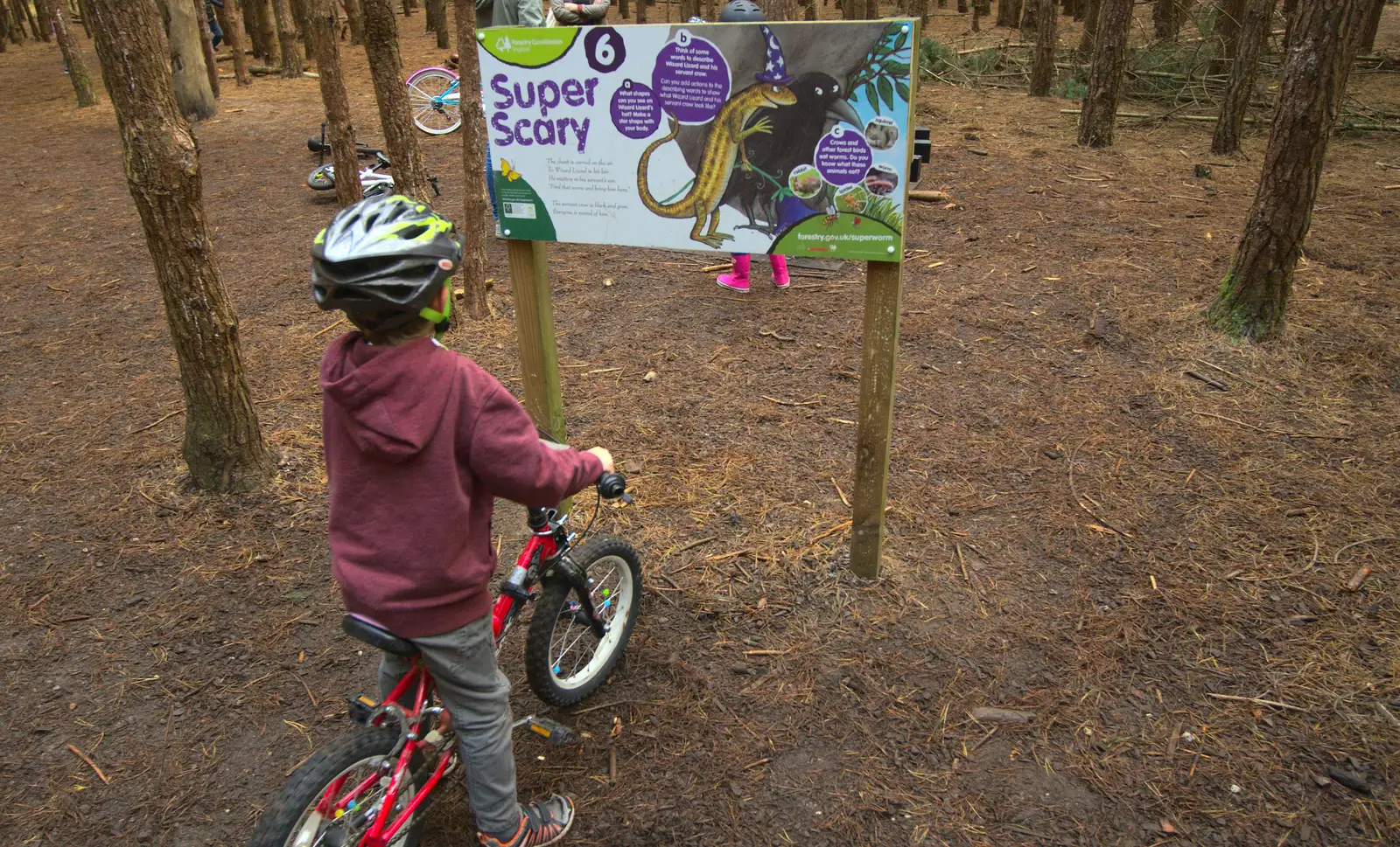 Fred looks at an information sign, from A Day at High Lodge, Brandon Forest, Suffolk - 26th October 2015