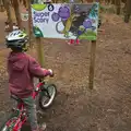 Fred looks at an information sign, A Day at High Lodge, Brandon Forest, Suffolk - 26th October 2015