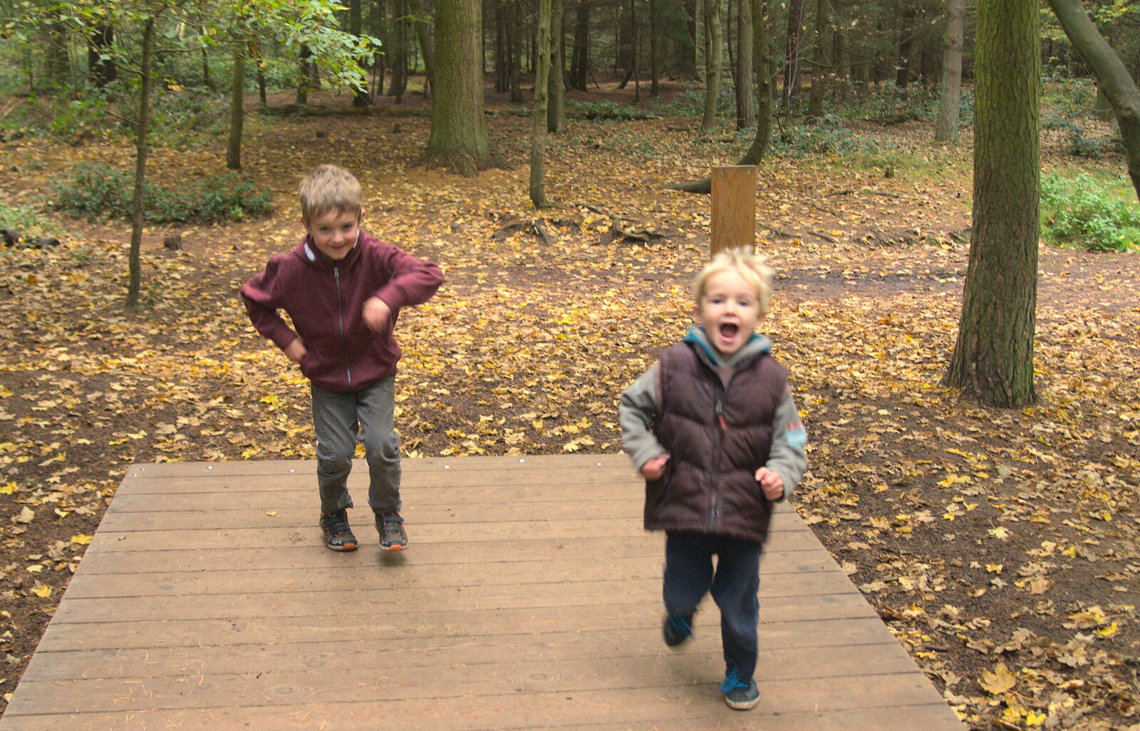 The boys run around on a giant see-saw from A Day at High Lodge, Brandon Forest, Suffolk - 26th October 2015