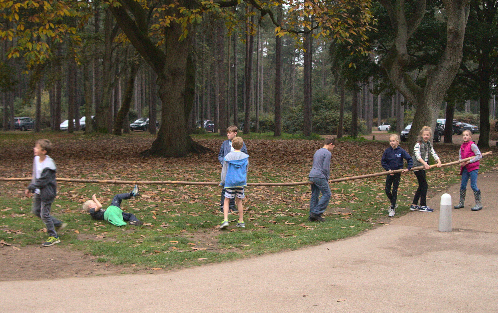 A gang of children haul a huge branch around the park from A Day at High Lodge, Brandon Forest, Suffolk - 26th October 2015