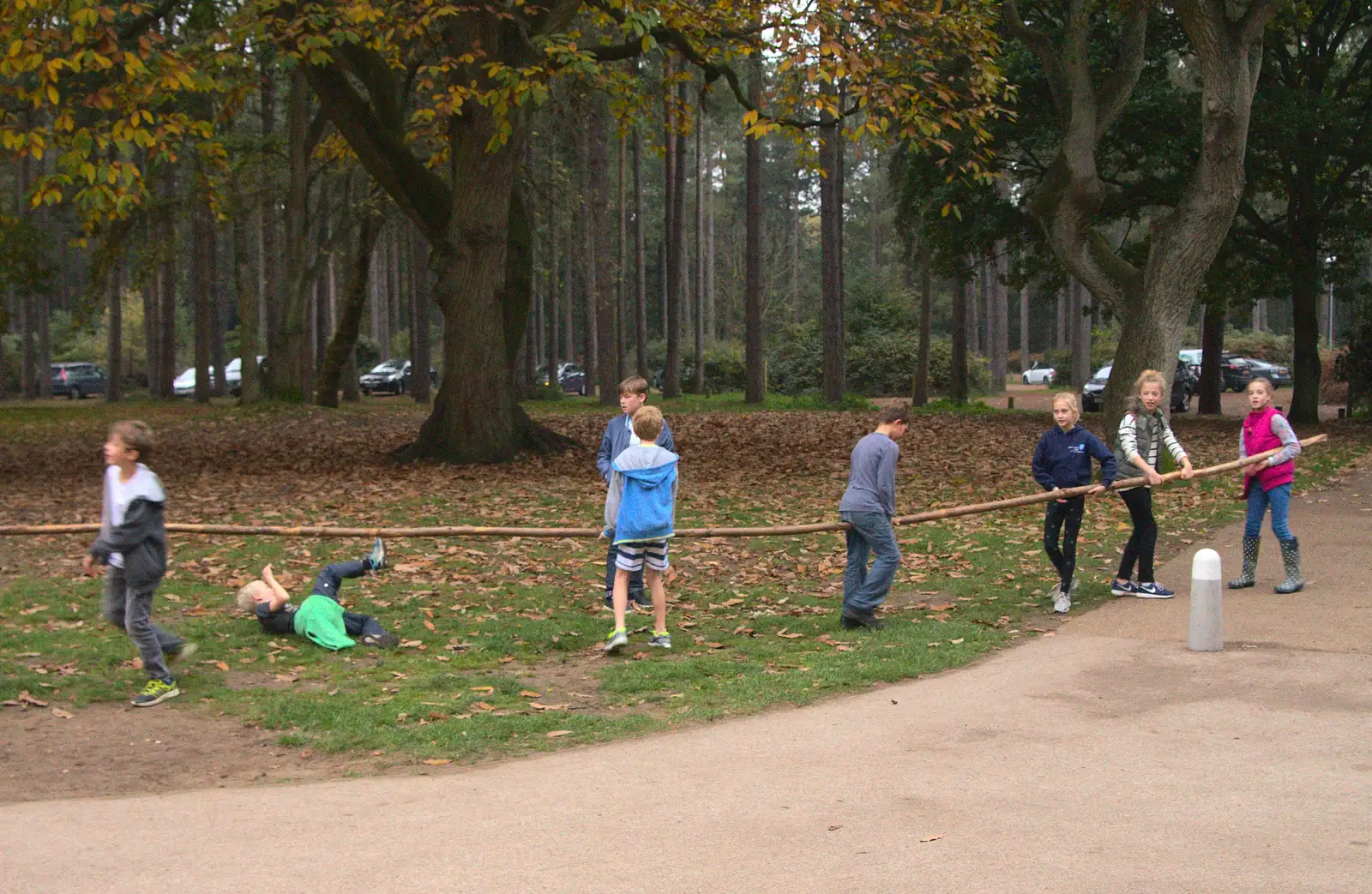 A gang of children haul a huge branch around the park, from A Day at High Lodge, Brandon Forest, Suffolk - 26th October 2015