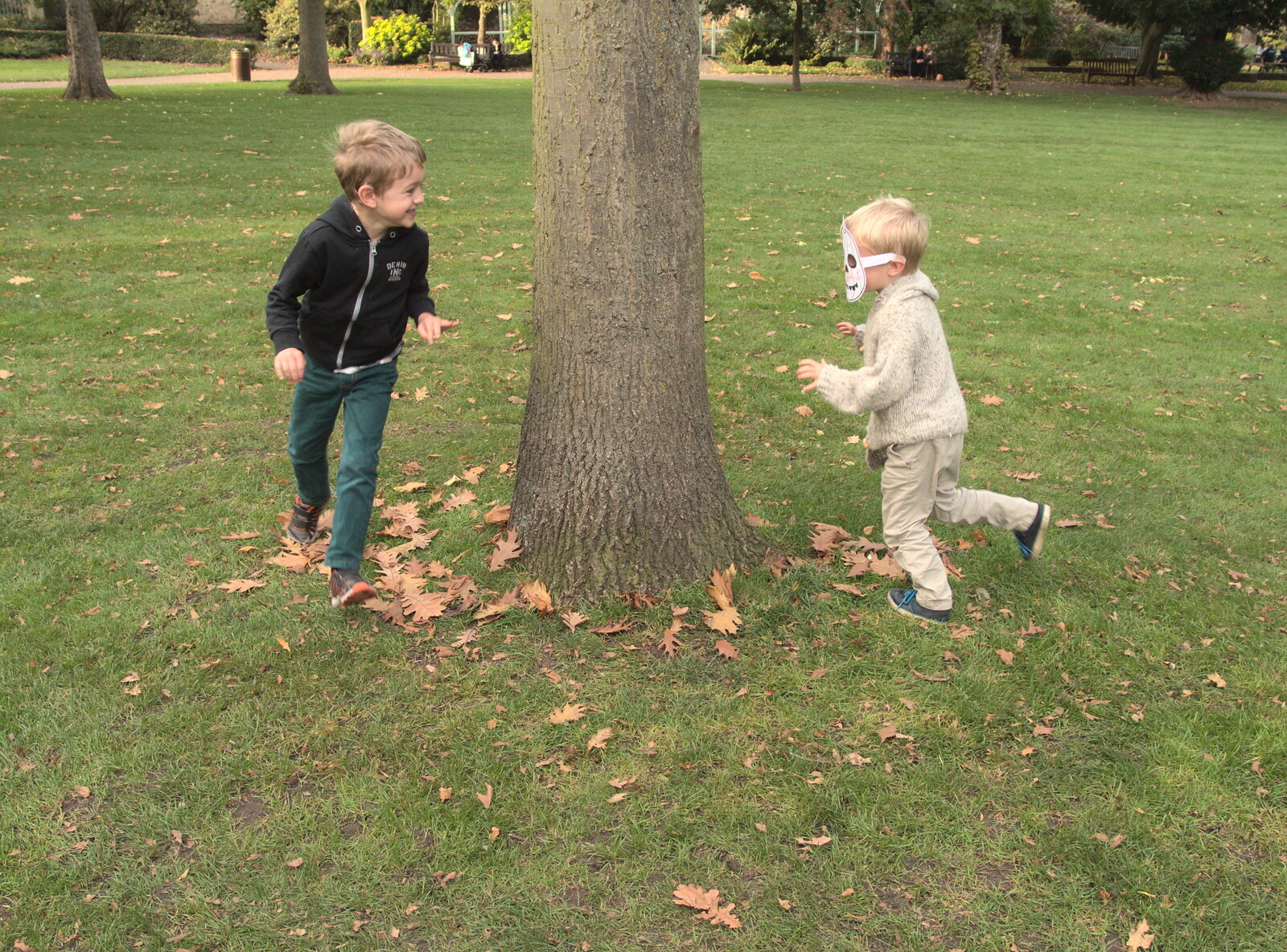Running around a tree from Abbey Gardens in Autumn, Bury St. Edmunds, Suffolk - 27th October 2015