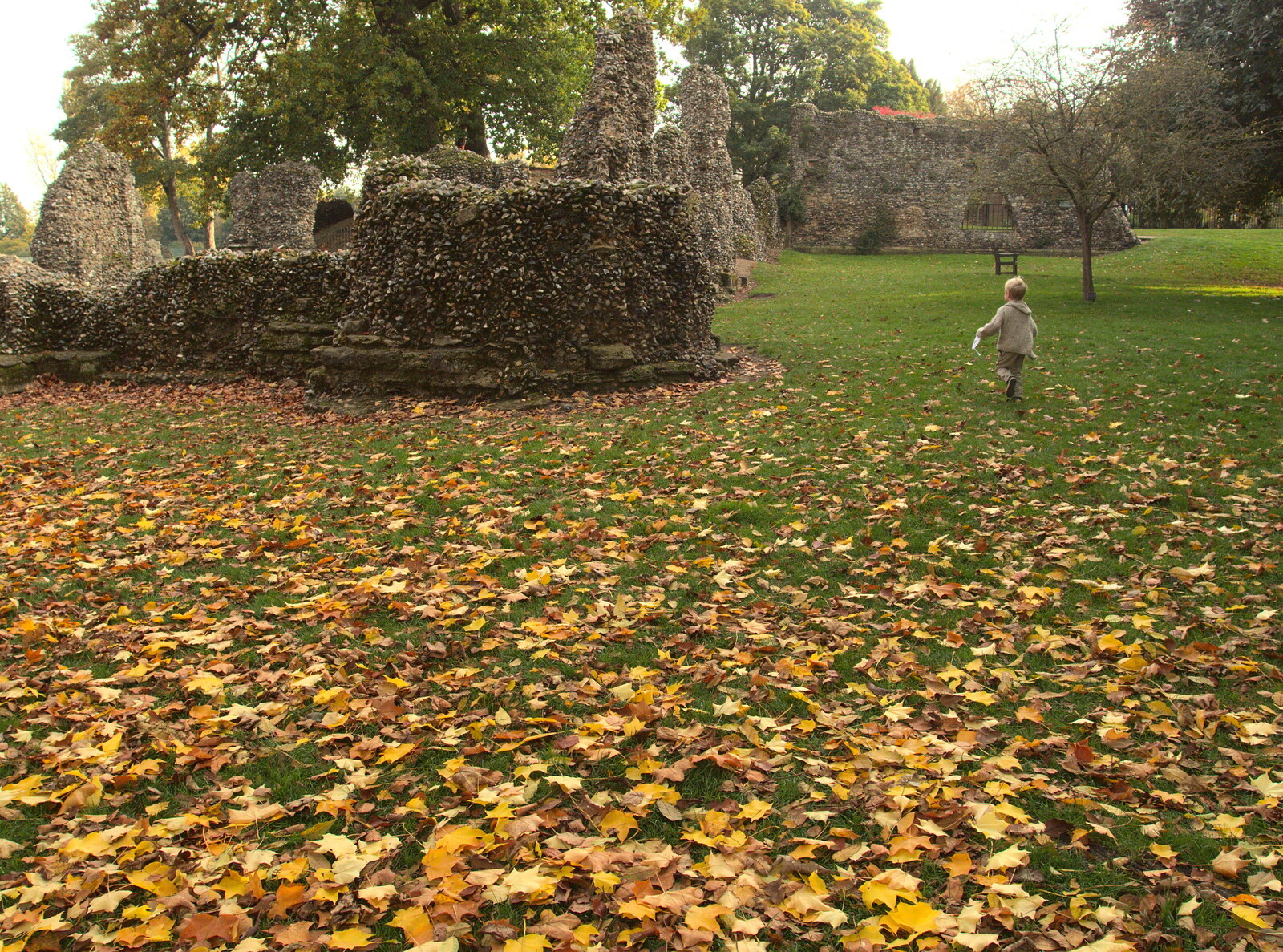 Harry legs it towards the abbey ruins from Abbey Gardens in Autumn, Bury St. Edmunds, Suffolk - 27th October 2015