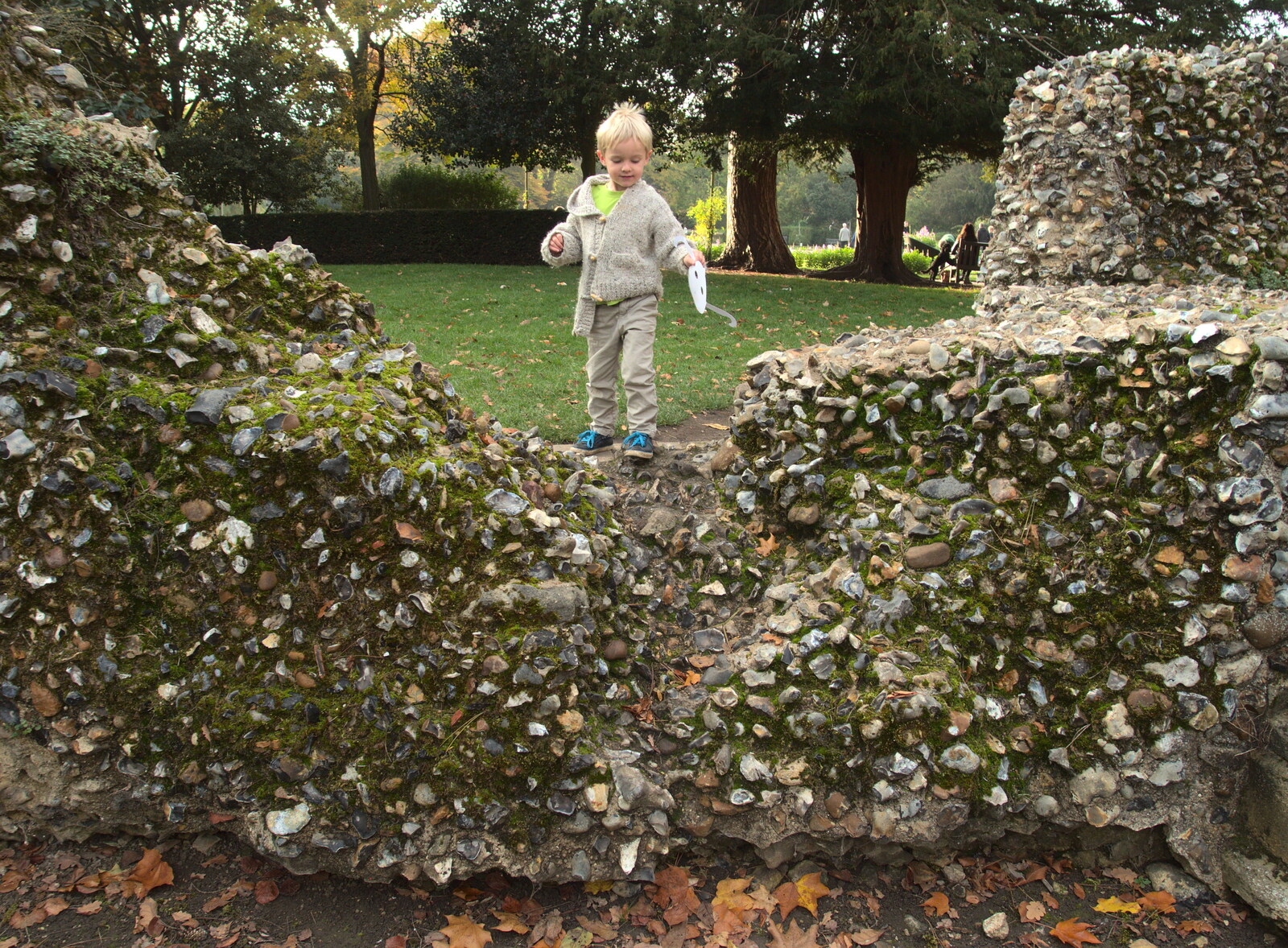 Harry on a wall from Abbey Gardens in Autumn, Bury St. Edmunds, Suffolk - 27th October 2015