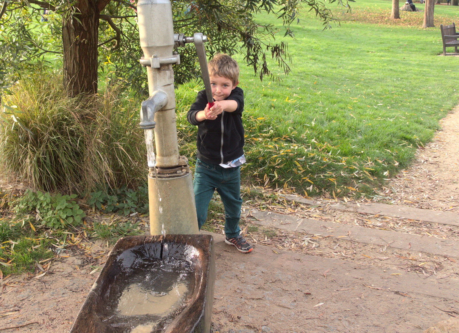 Fred on the water pump from Abbey Gardens in Autumn, Bury St. Edmunds, Suffolk - 27th October 2015