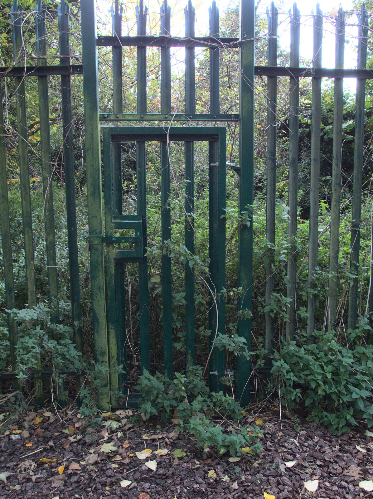 An overgrown wilderness behind a steel fence from Abbey Gardens in Autumn, Bury St. Edmunds, Suffolk - 27th October 2015