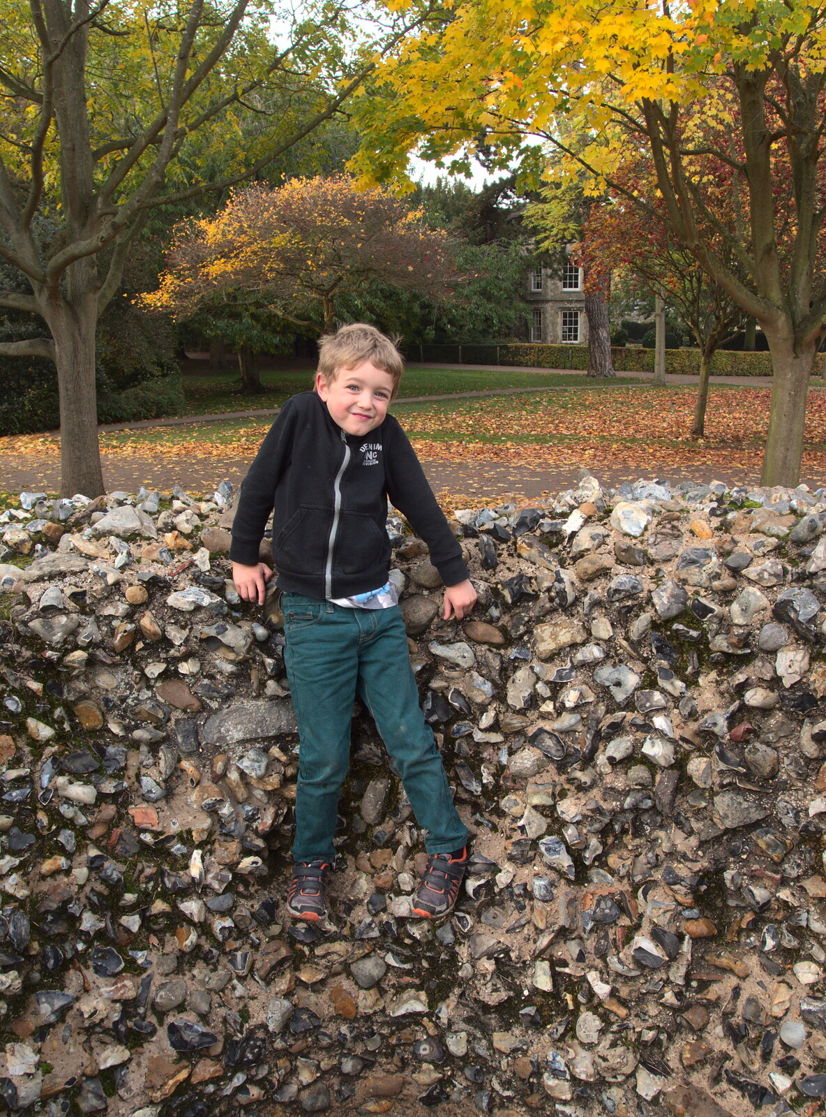 Fred on a wall from Abbey Gardens in Autumn, Bury St. Edmunds, Suffolk - 27th October 2015