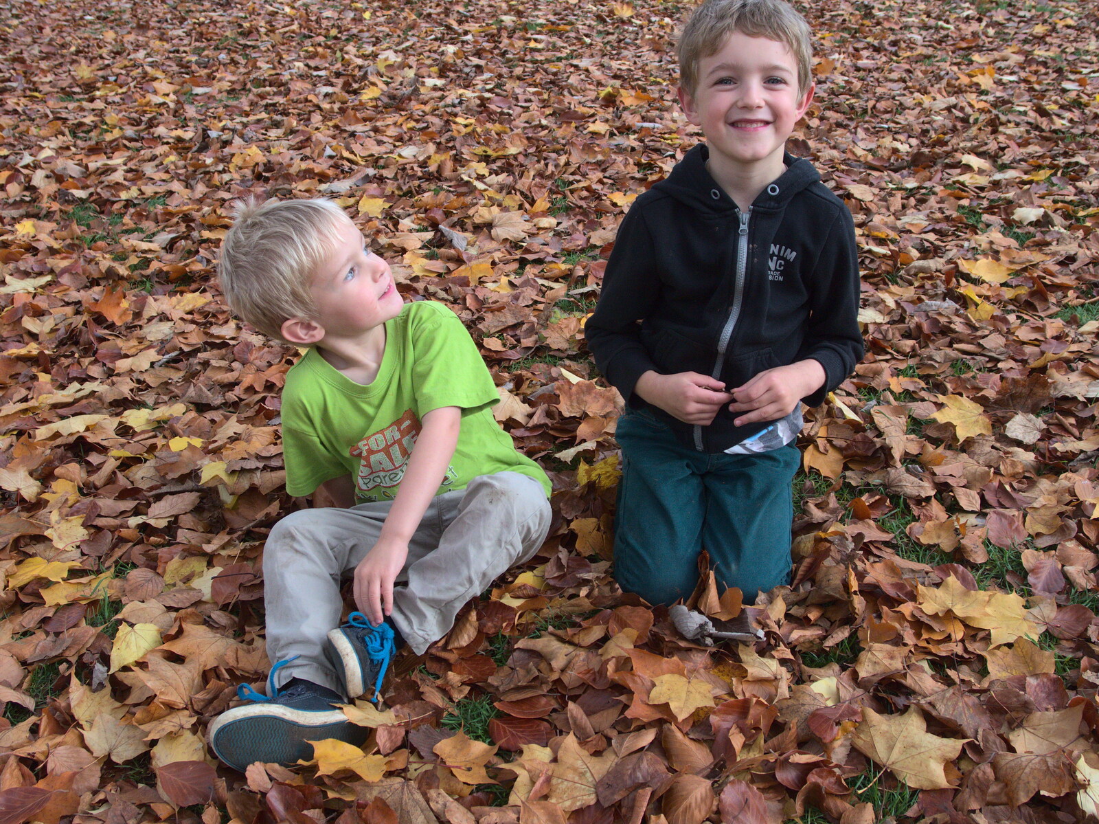 Harry and Fred in the leaves from Abbey Gardens in Autumn, Bury St. Edmunds, Suffolk - 27th October 2015