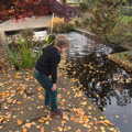 Fred peers into a pond, Abbey Gardens in Autumn, Bury St. Edmunds, Suffolk - 27th October 2015