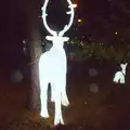 An illuminated reindeer in the dark, The BBs at Centre Parcs, Elvedon, Norfolk - 5th November 2015