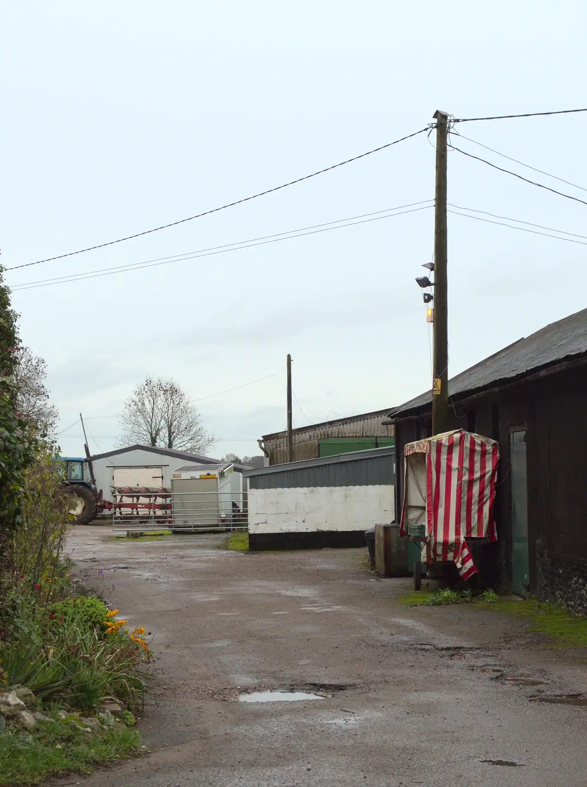 Down at Trevor's apple sheds, from Hot-tub Penthouse, Thornham Walks, and Building, London and Suffolk - 12th November 2015