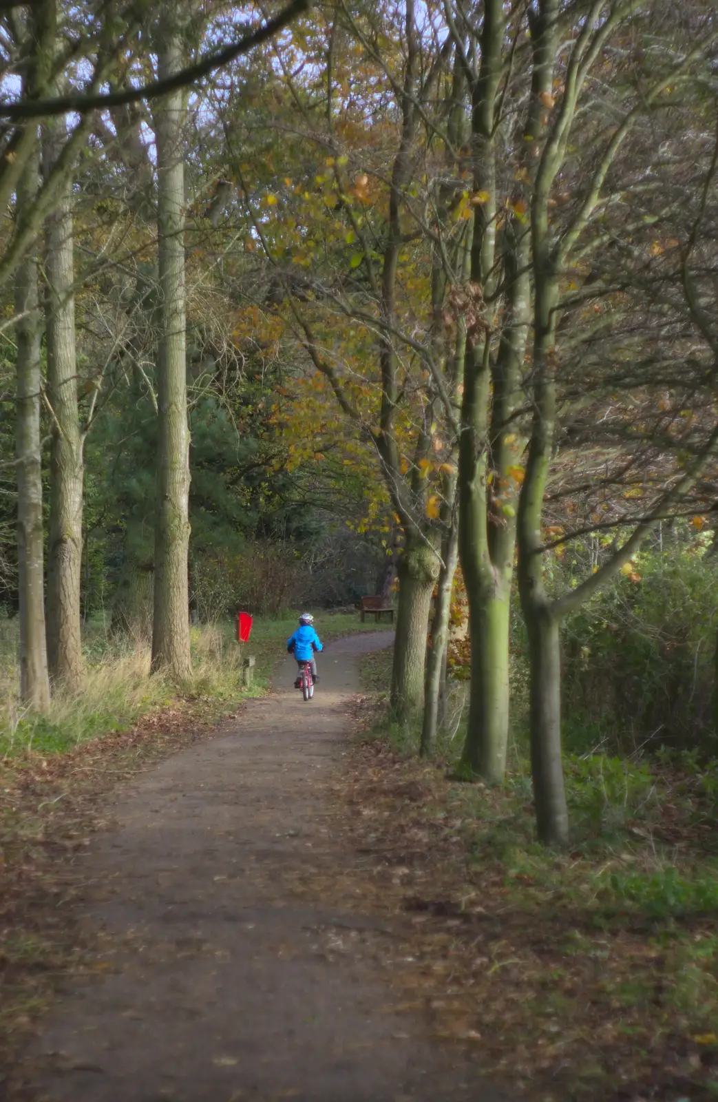 Fred cycles off, from Hot-tub Penthouse, Thornham Walks, and Building, London and Suffolk - 12th November 2015