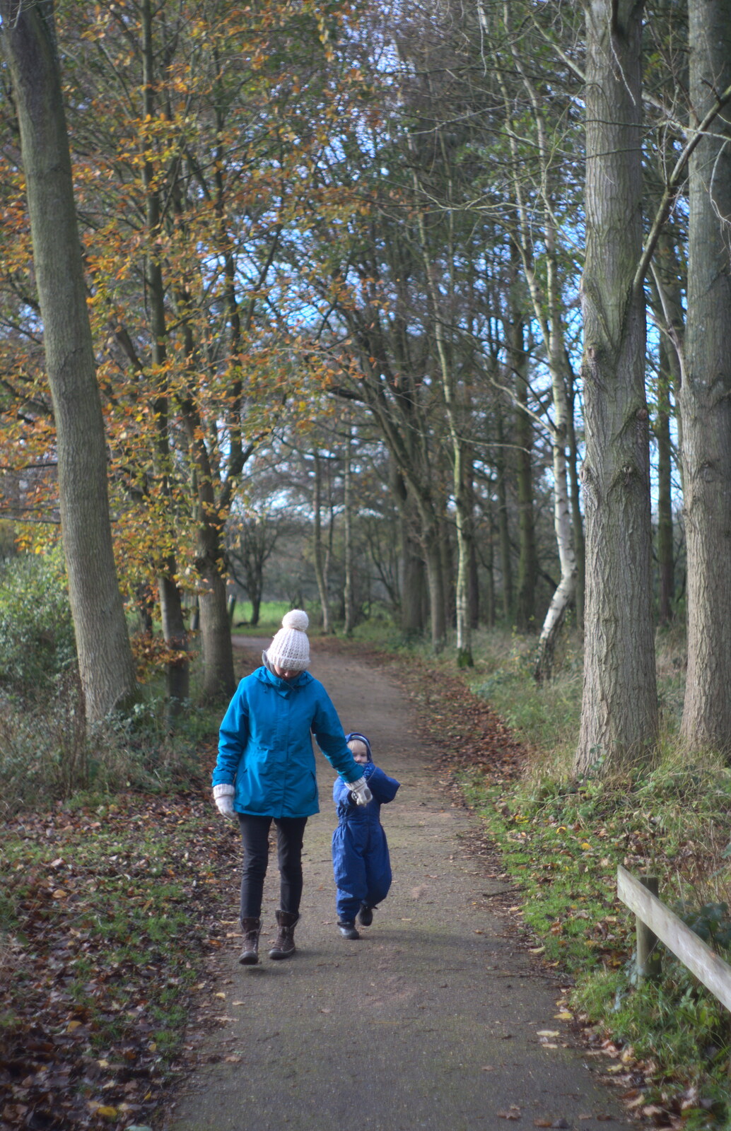 Harry and Isobel walk around from Hot-tub Penthouse, Thornham Walks, and Building, London and Suffolk - 12th November 2015