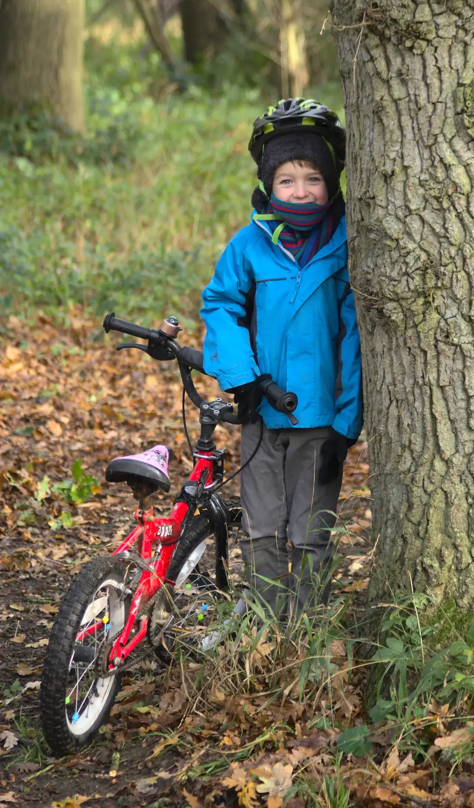 Fred leans on a tree, from Hot-tub Penthouse, Thornham Walks, and Building, London and Suffolk - 12th November 2015