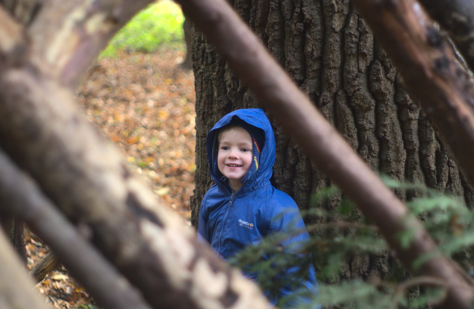 Harry amongst the trees and branches from Hot-tub Penthouse, Thornham Walks, and Building, London and Suffolk - 12th November 2015