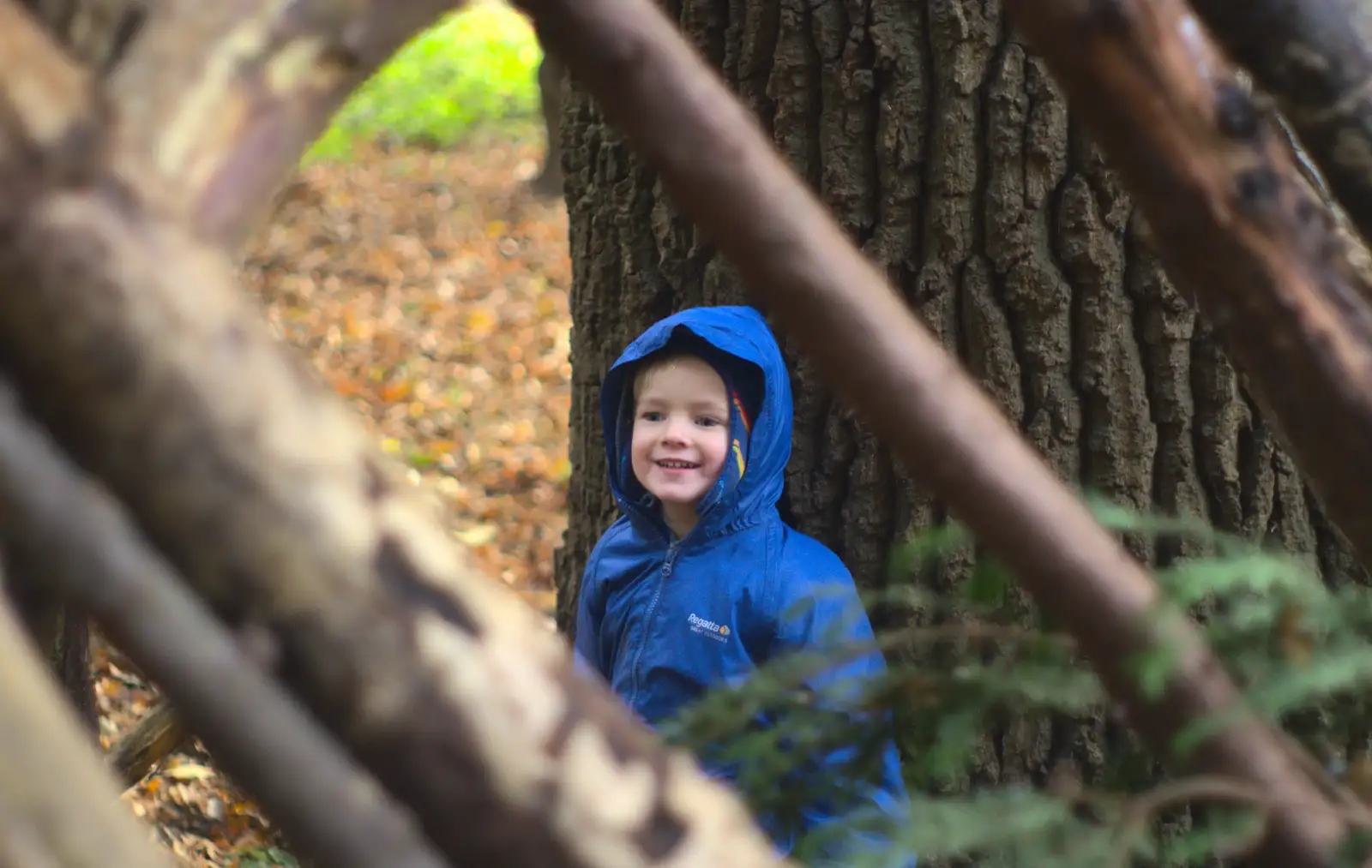 Harry amongst the trees and branches, from Hot-tub Penthouse, Thornham Walks, and Building, London and Suffolk - 12th November 2015