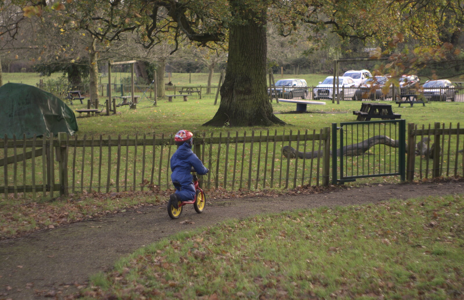 Harry's on his balance bike from Hot-tub Penthouse, Thornham Walks, and Building, London and Suffolk - 12th November 2015